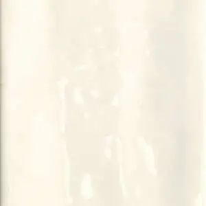 Bone