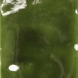 Erba