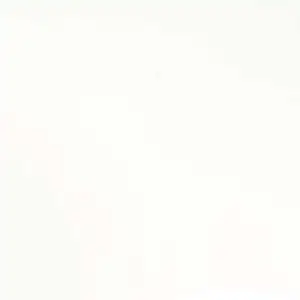 Gesso