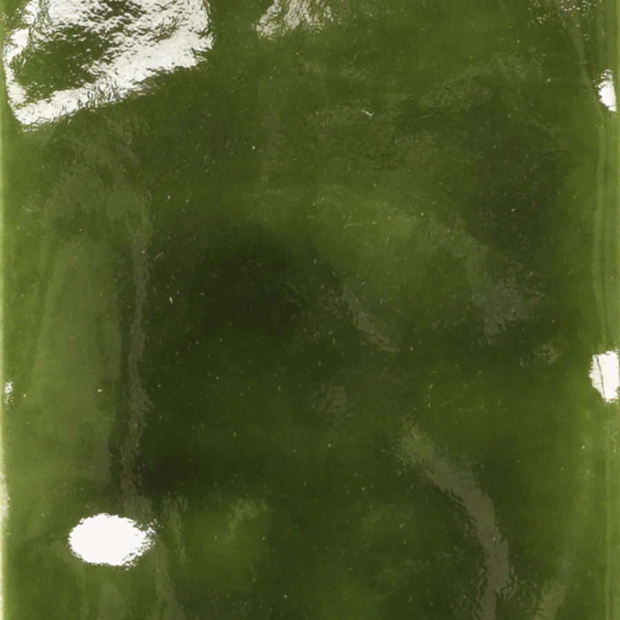 Erba