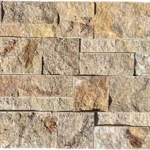 Autumn Leaves Travertine Ledger Panel
