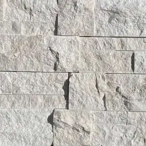 Desert Sand Ledger Panel