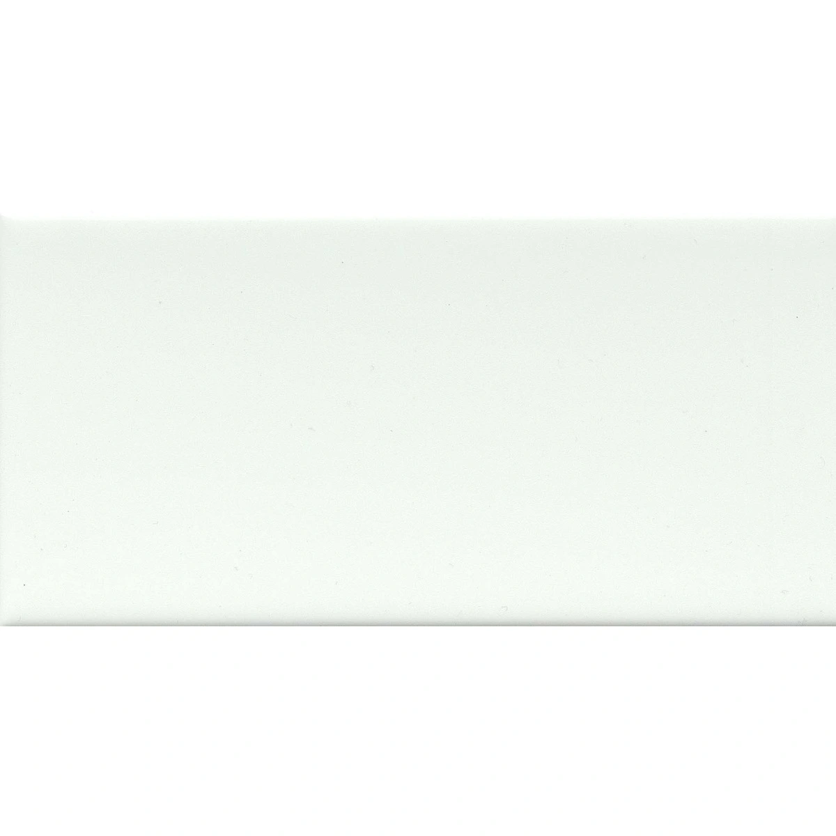WHITE WHITE