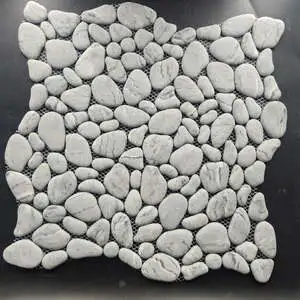 Carrara Gray