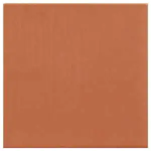 Swirl Coral 5x5 Glossy Flat Ceramic Wall Tile