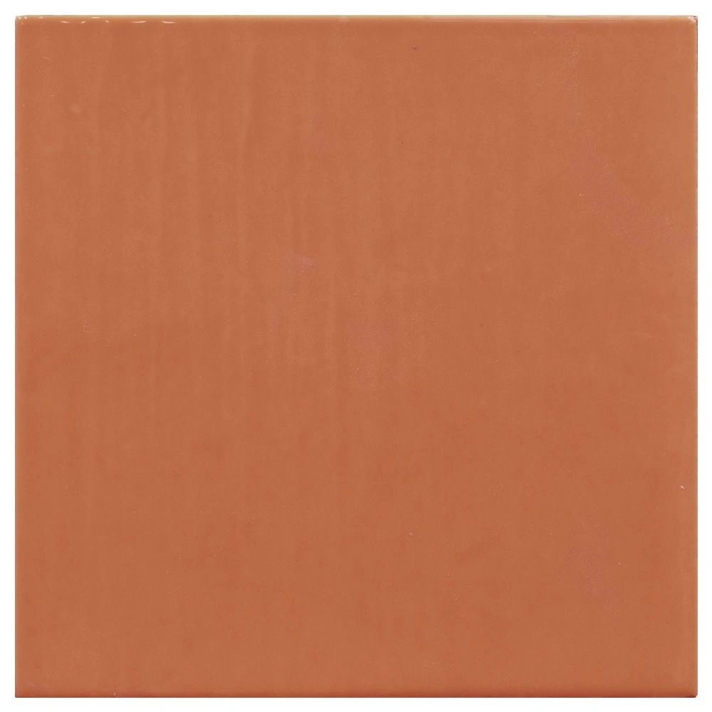 Swirl Coral 5x5 Glossy Flat Ceramic Wall Tile
