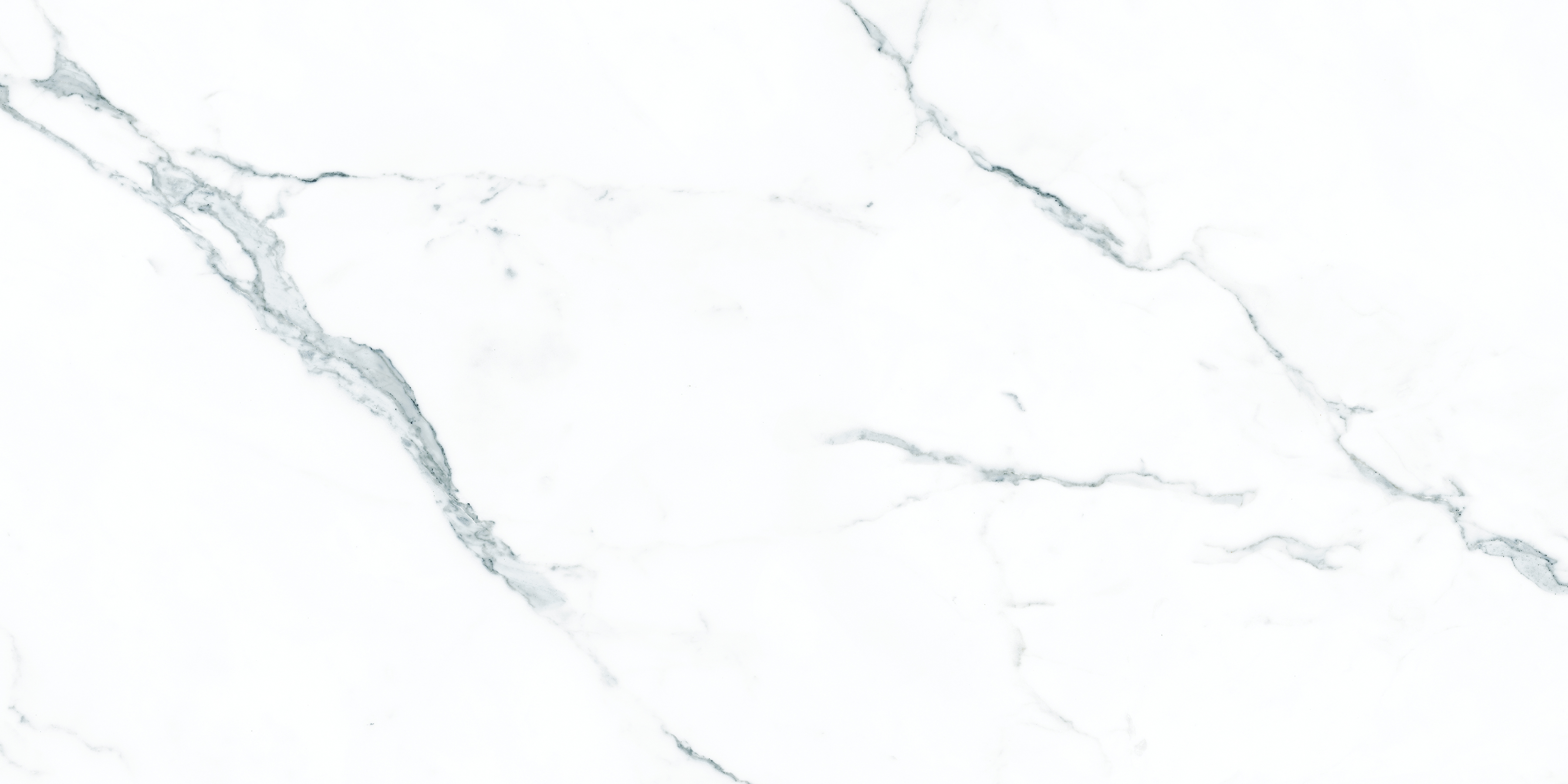 ELITE COLLECTION ELITE COLLECTION