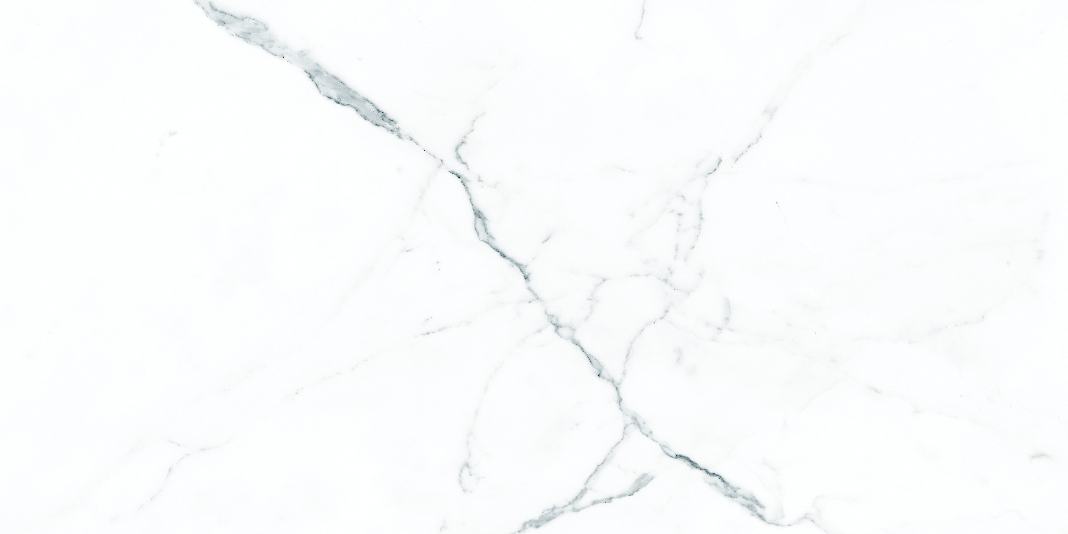 ELITE COLLECTION ELITE COLLECTION