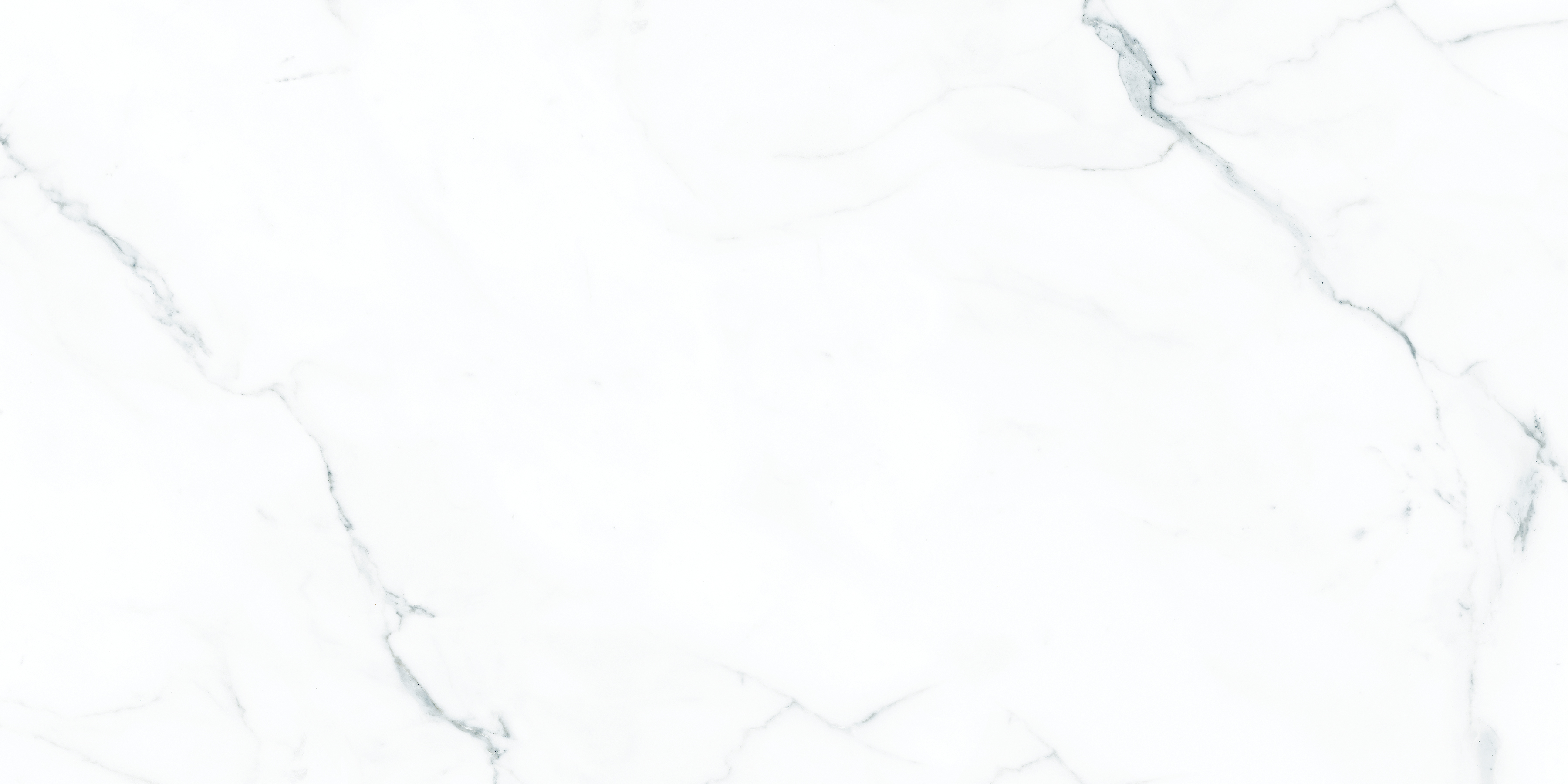 ELITE COLLECTION ELITE COLLECTION