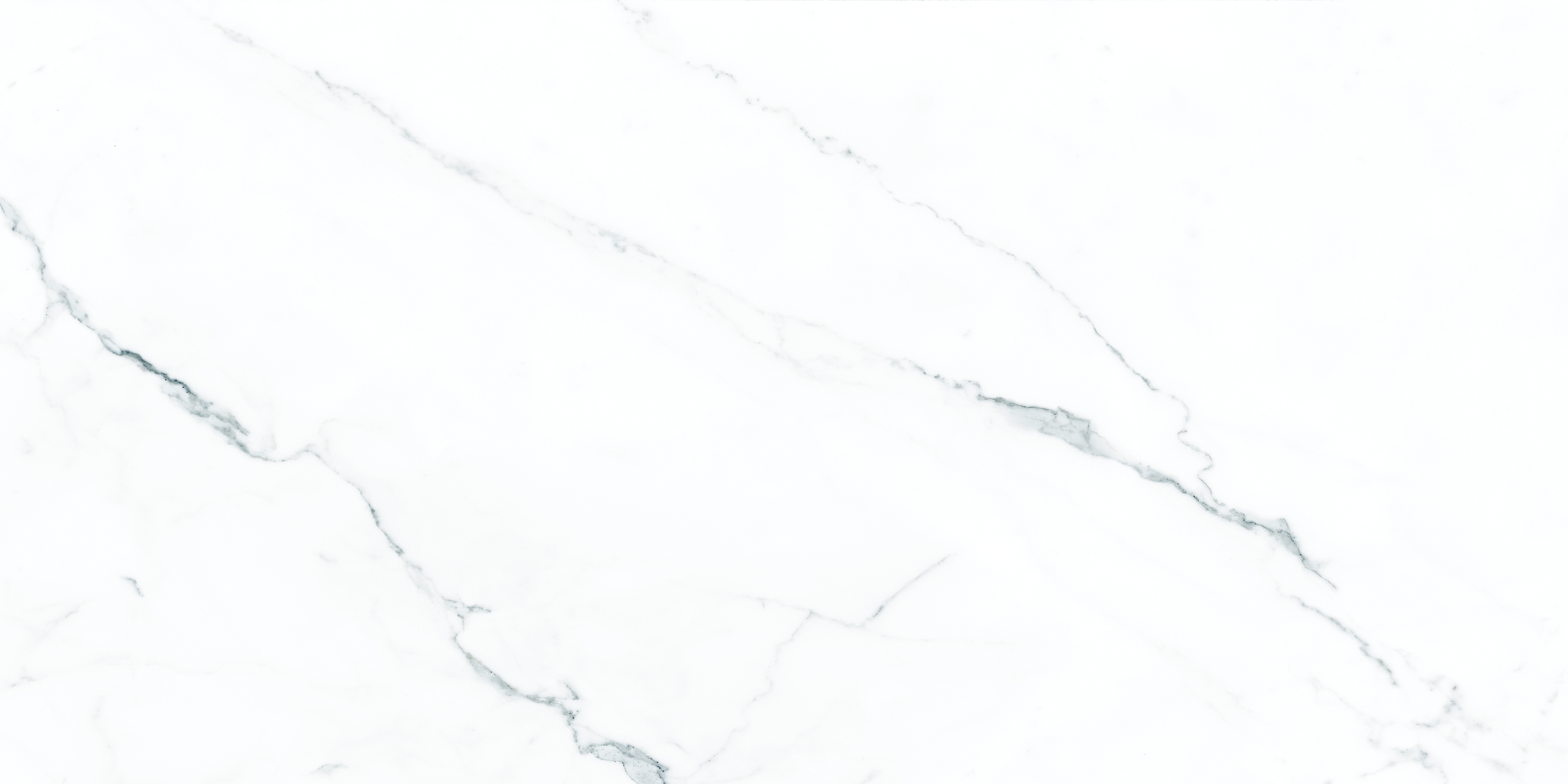 ELITE COLLECTION ELITE COLLECTION