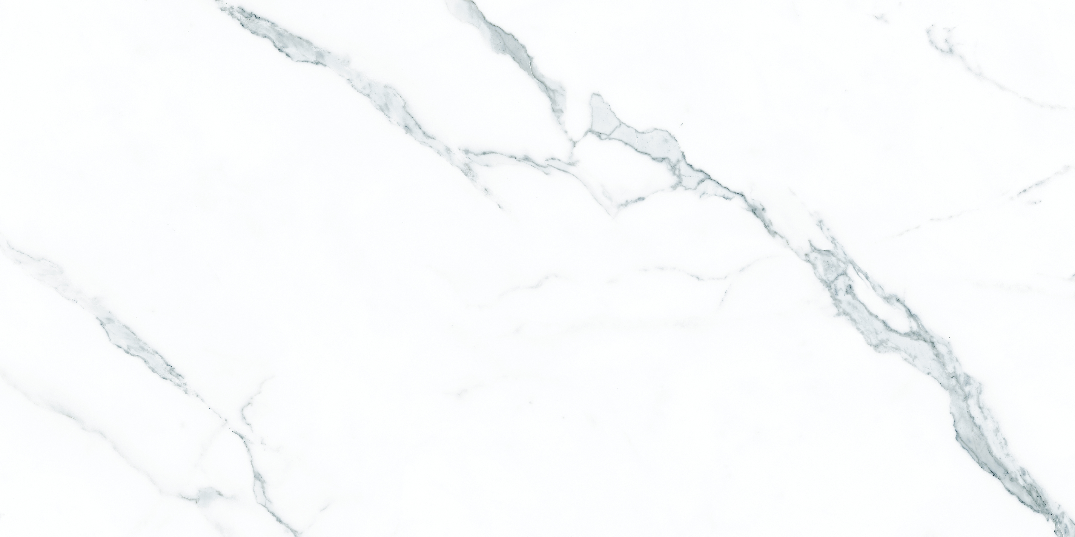 ELITE COLLECTION ELITE COLLECTION