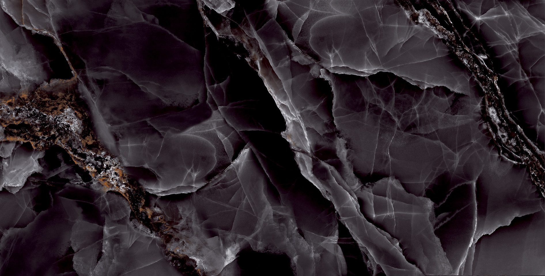 ELITE COLLECTION ELITE COLLECTION