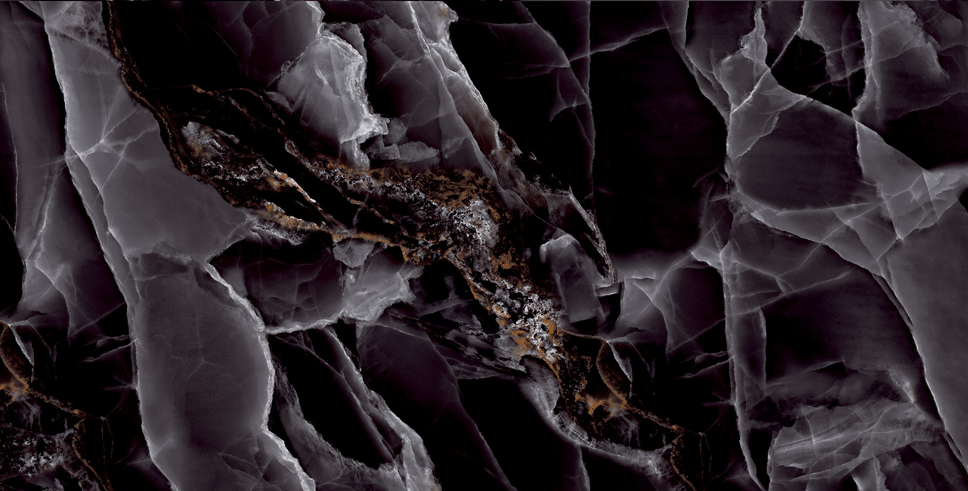 ELITE COLLECTION ELITE COLLECTION