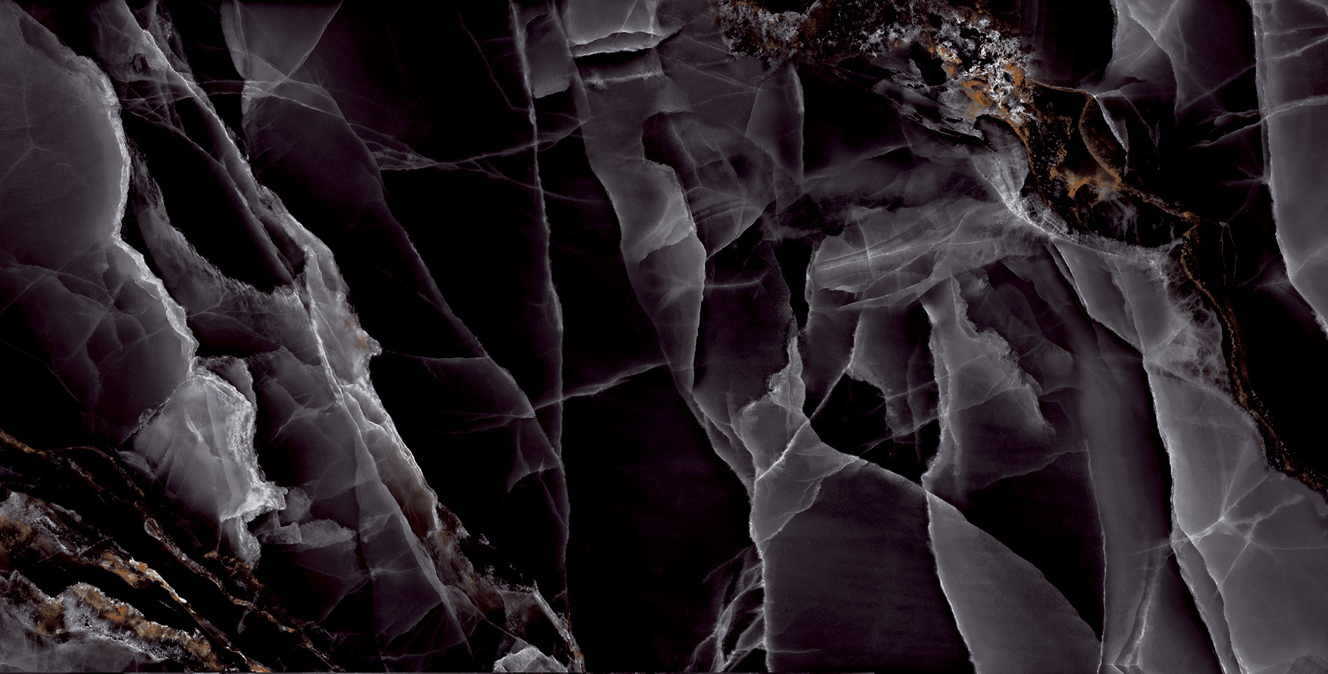 ELITE COLLECTION ELITE COLLECTION