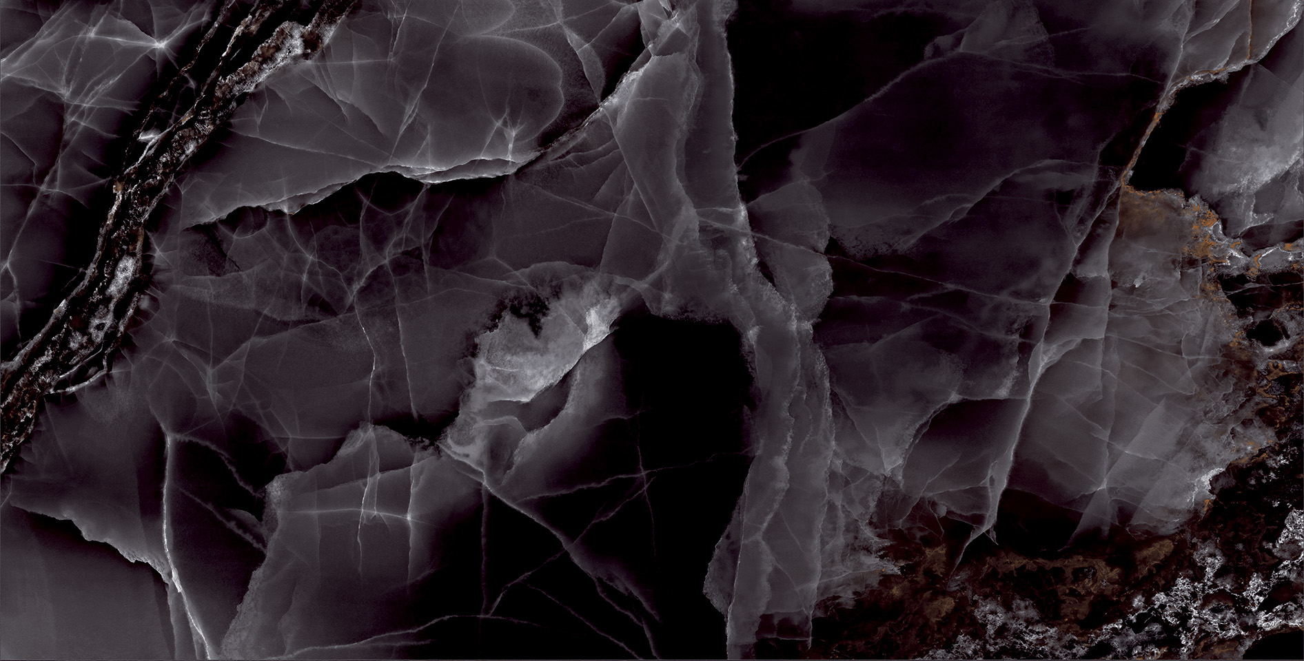 ELITE COLLECTION ELITE COLLECTION