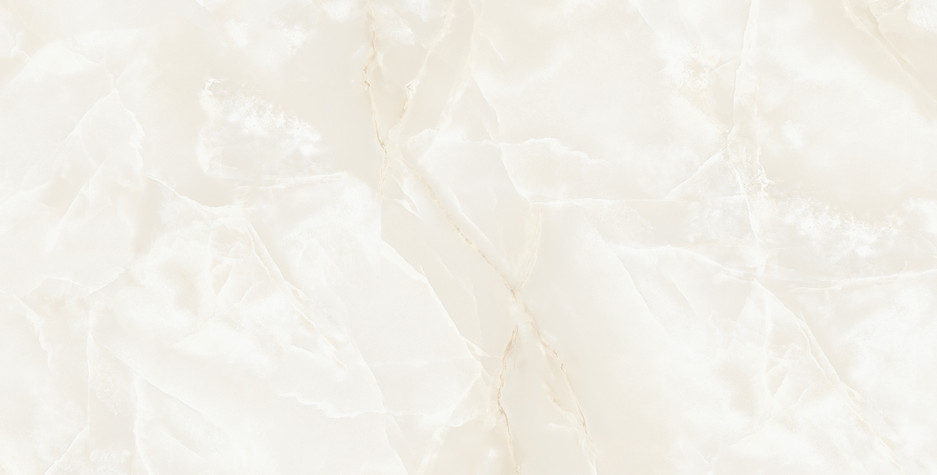 ELITE COLLECTION ELITE COLLECTION