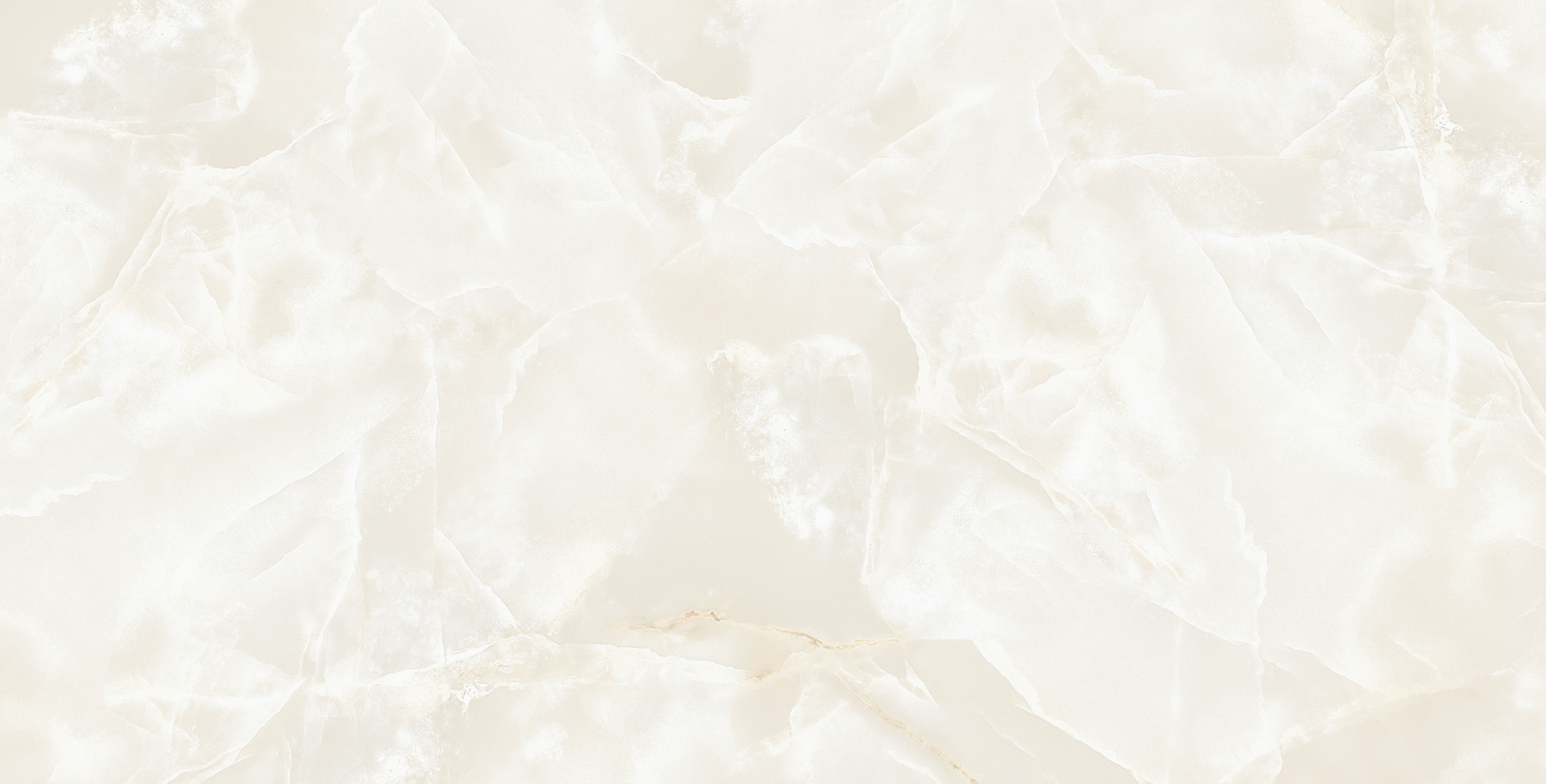 ELITE COLLECTION ELITE COLLECTION