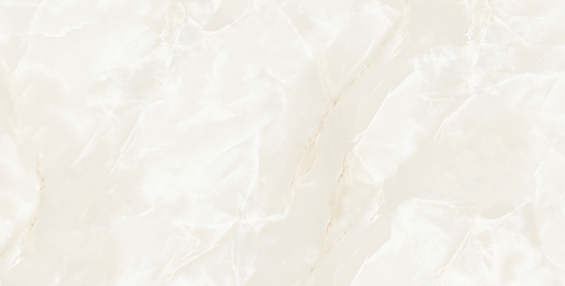 ELITE COLLECTION ELITE COLLECTION