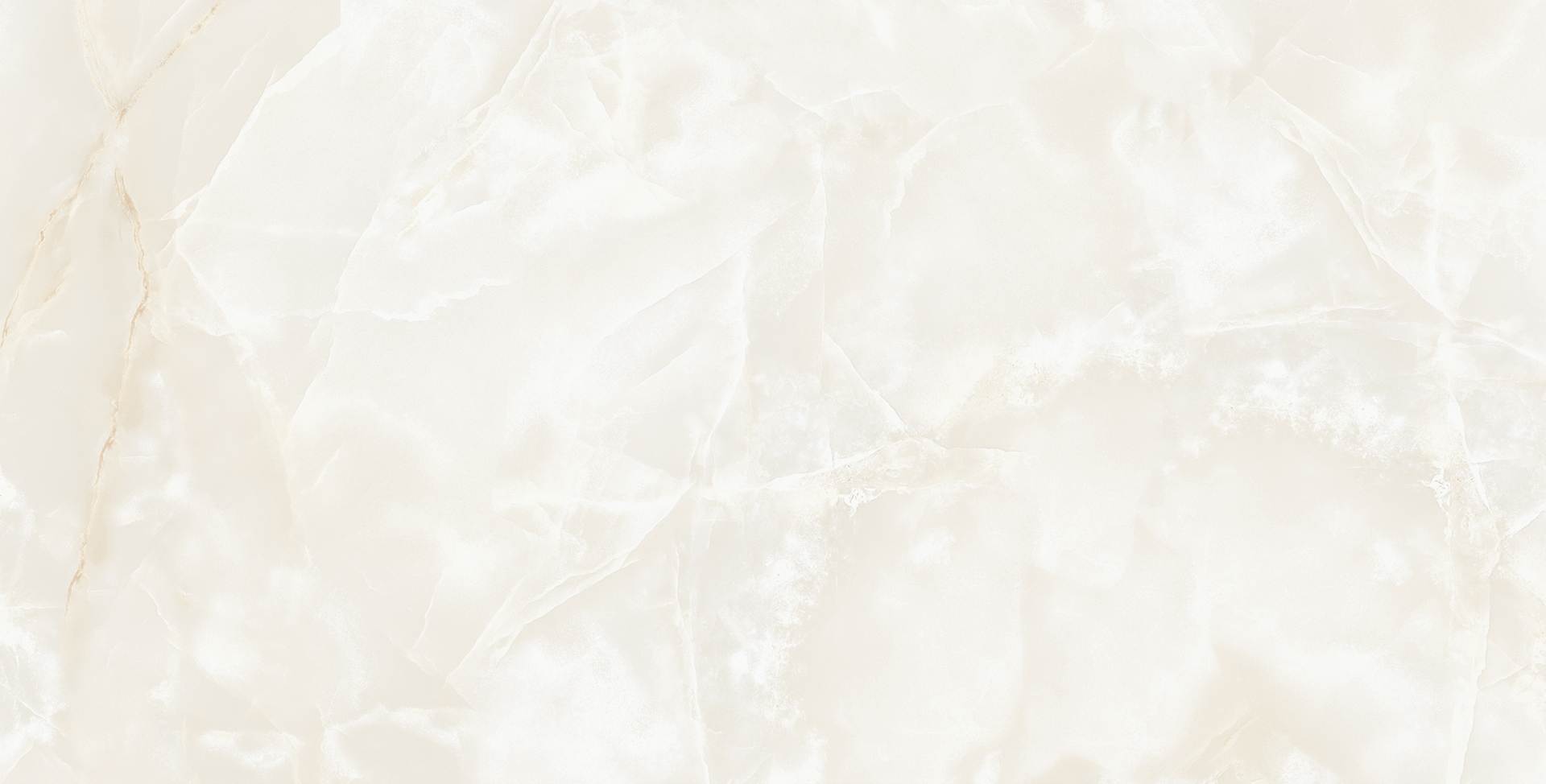 ELITE COLLECTION ELITE COLLECTION