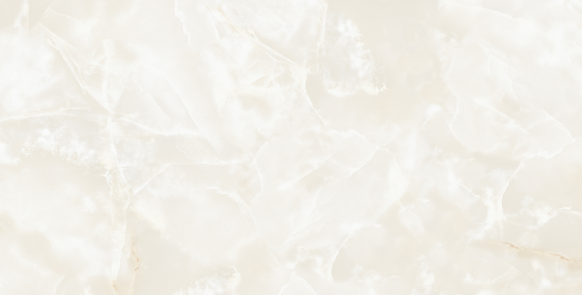 ELITE COLLECTION ELITE COLLECTION