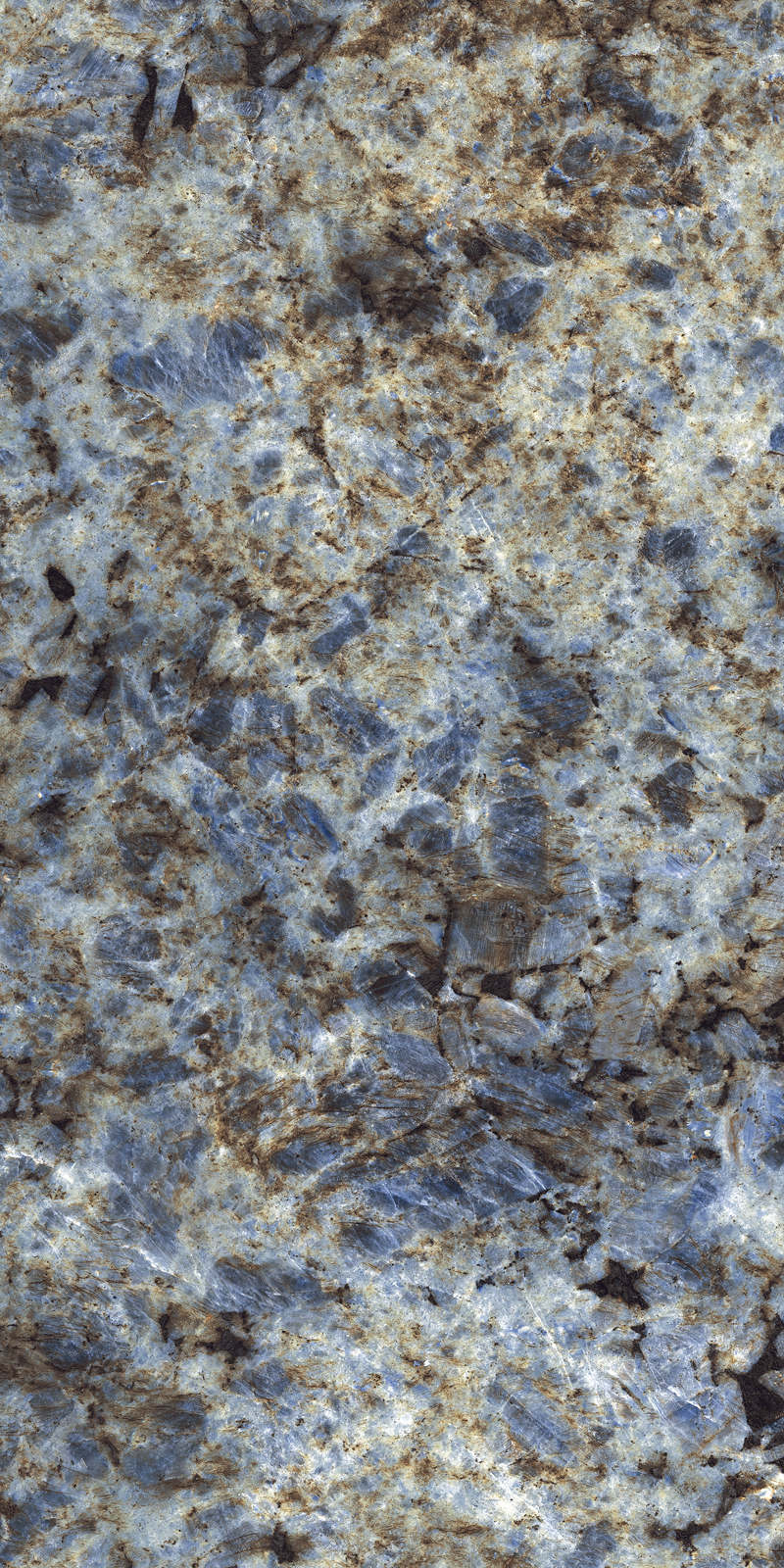 ELITE COLLECTION ELITE COLLECTION