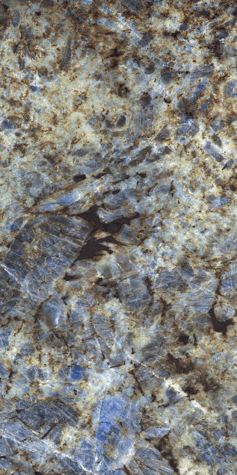 ELITE COLLECTION ELITE COLLECTION