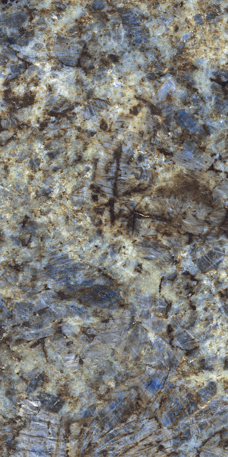 ELITE COLLECTION ELITE COLLECTION