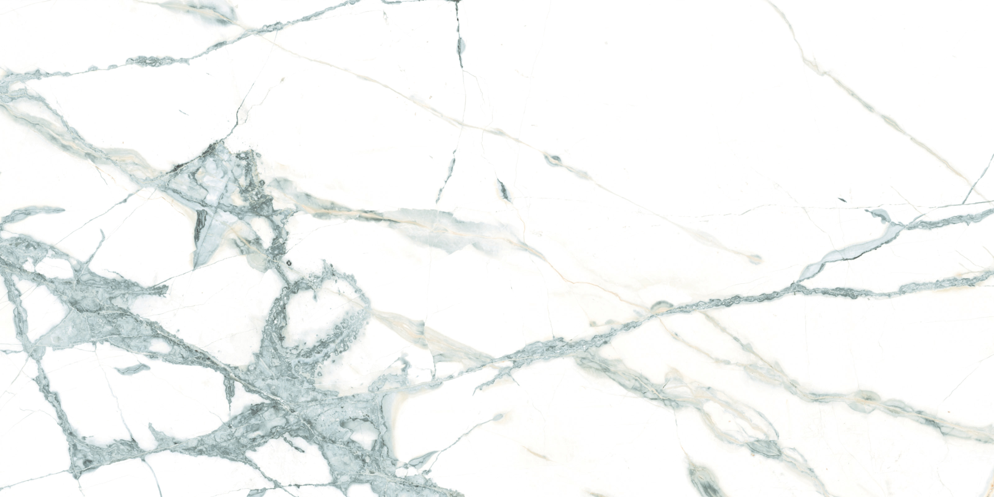 ELITE COLLECTION ELITE COLLECTION