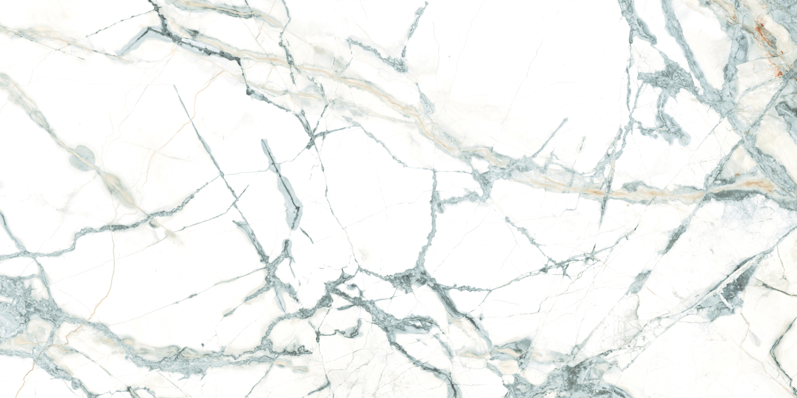 ELITE COLLECTION ELITE COLLECTION