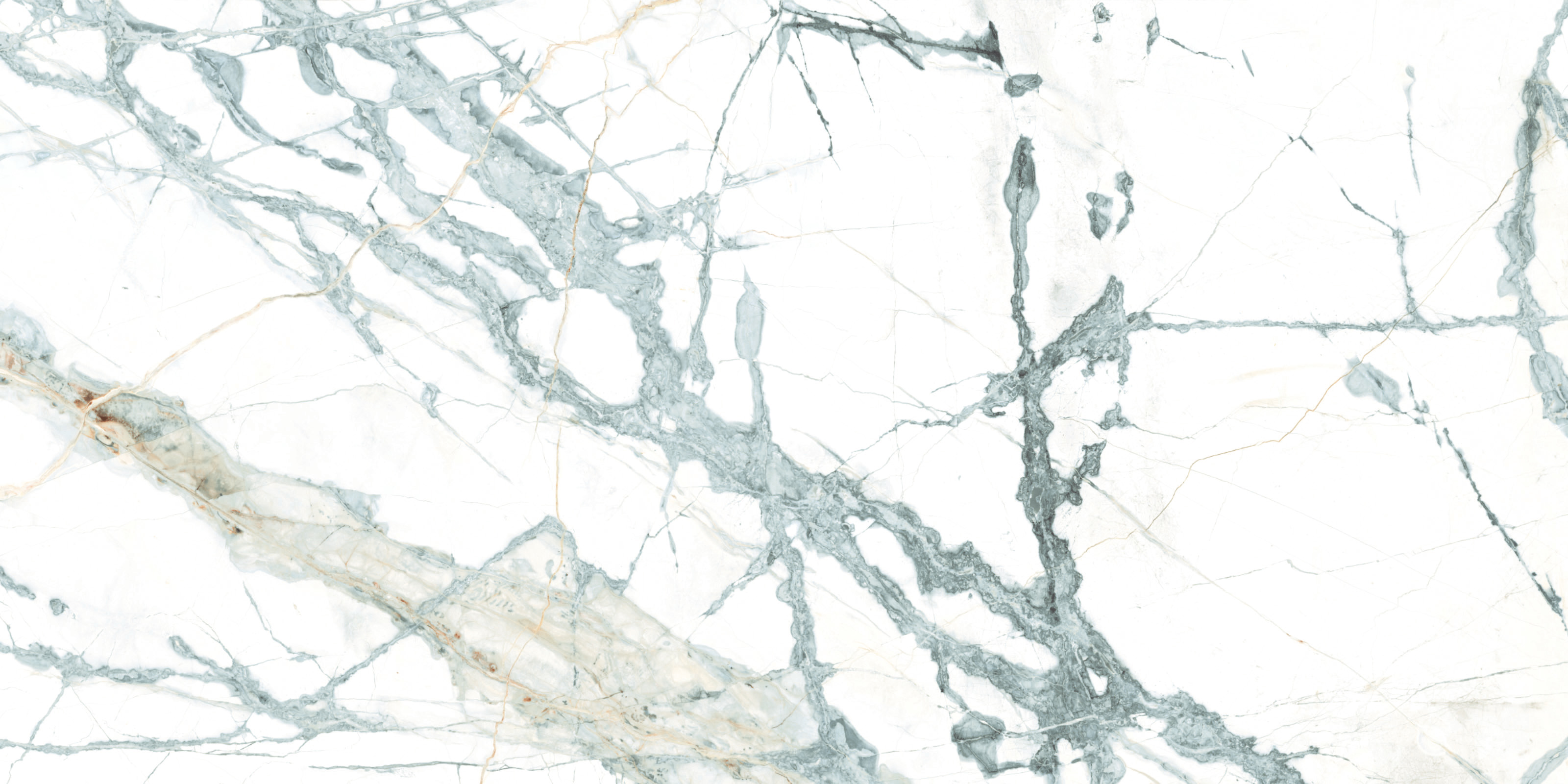 ELITE COLLECTION ELITE COLLECTION