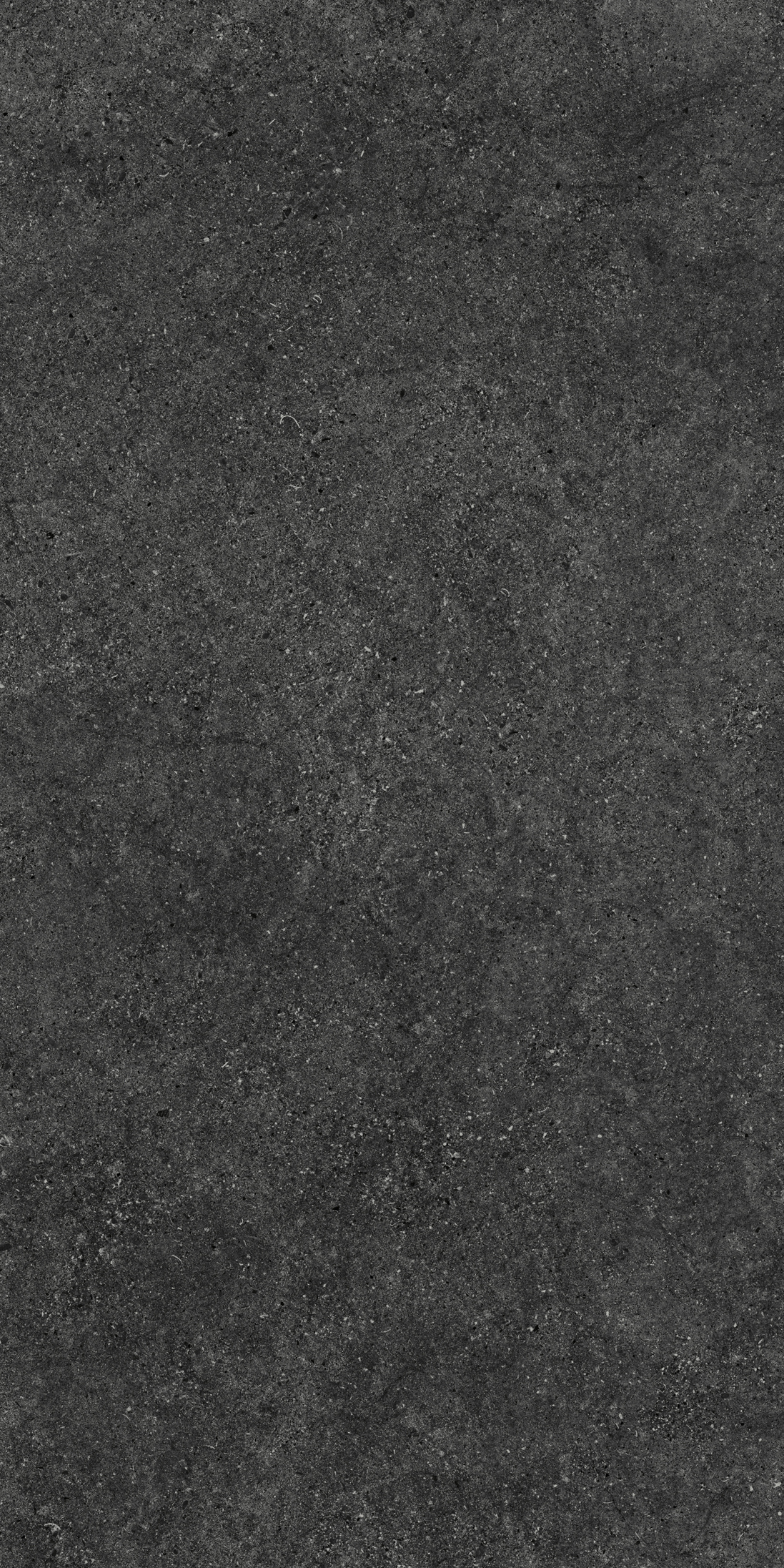NIRMALA CHARCOAL