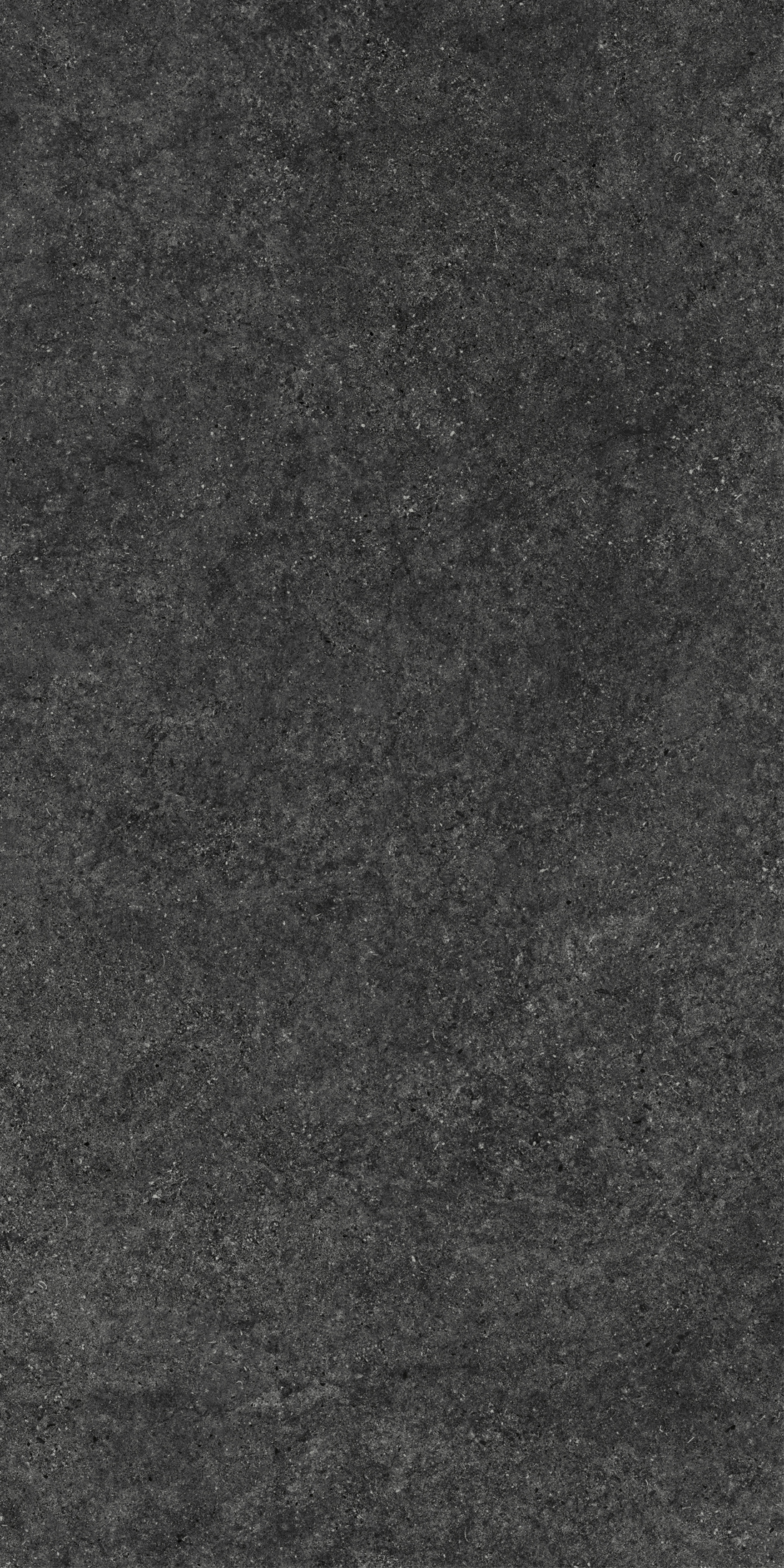 NIRMALA CHARCOAL