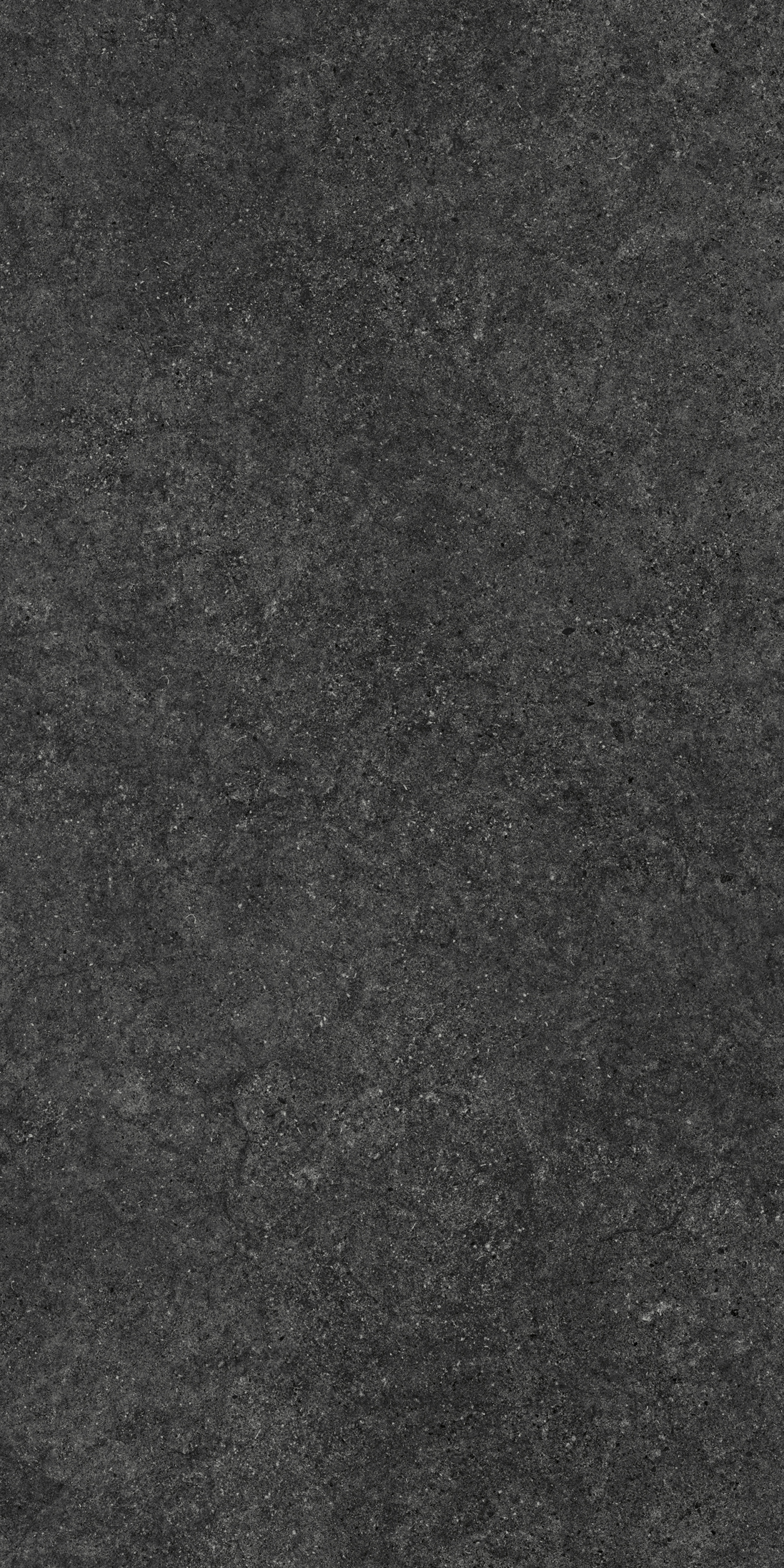 NIRMALA CHARCOAL