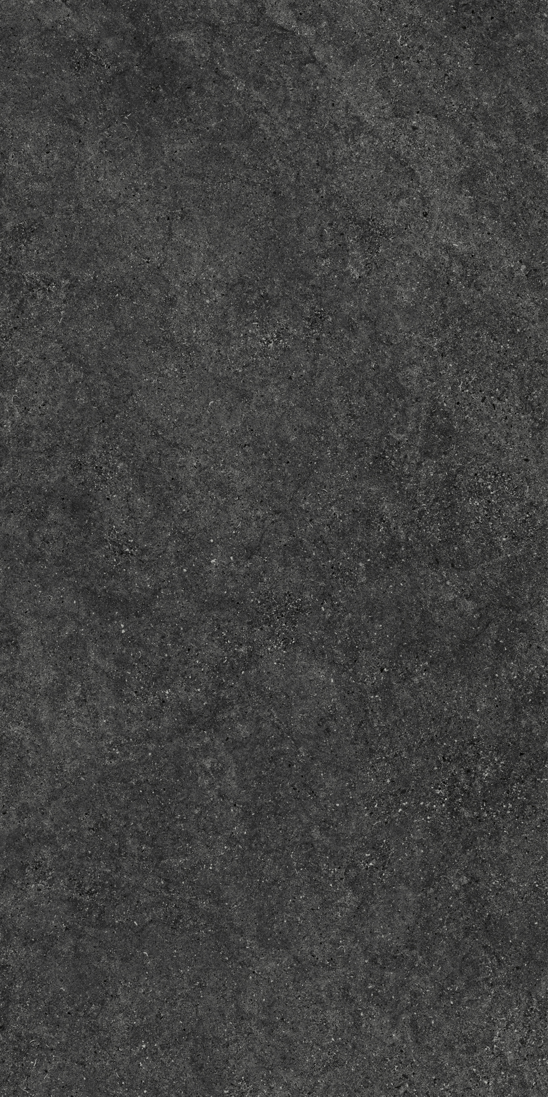 NIRMALA CHARCOAL