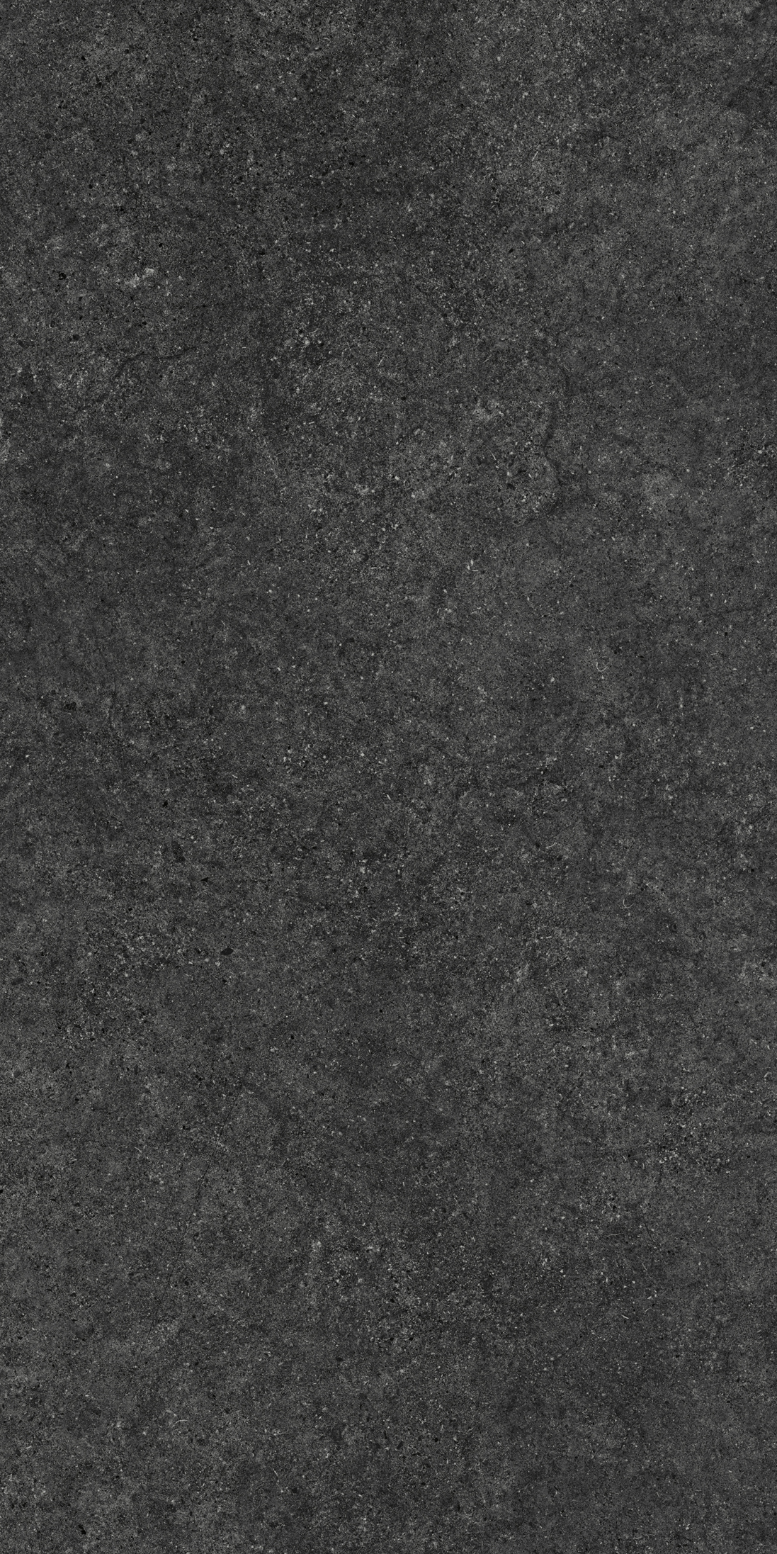 NIRMALA CHARCOAL