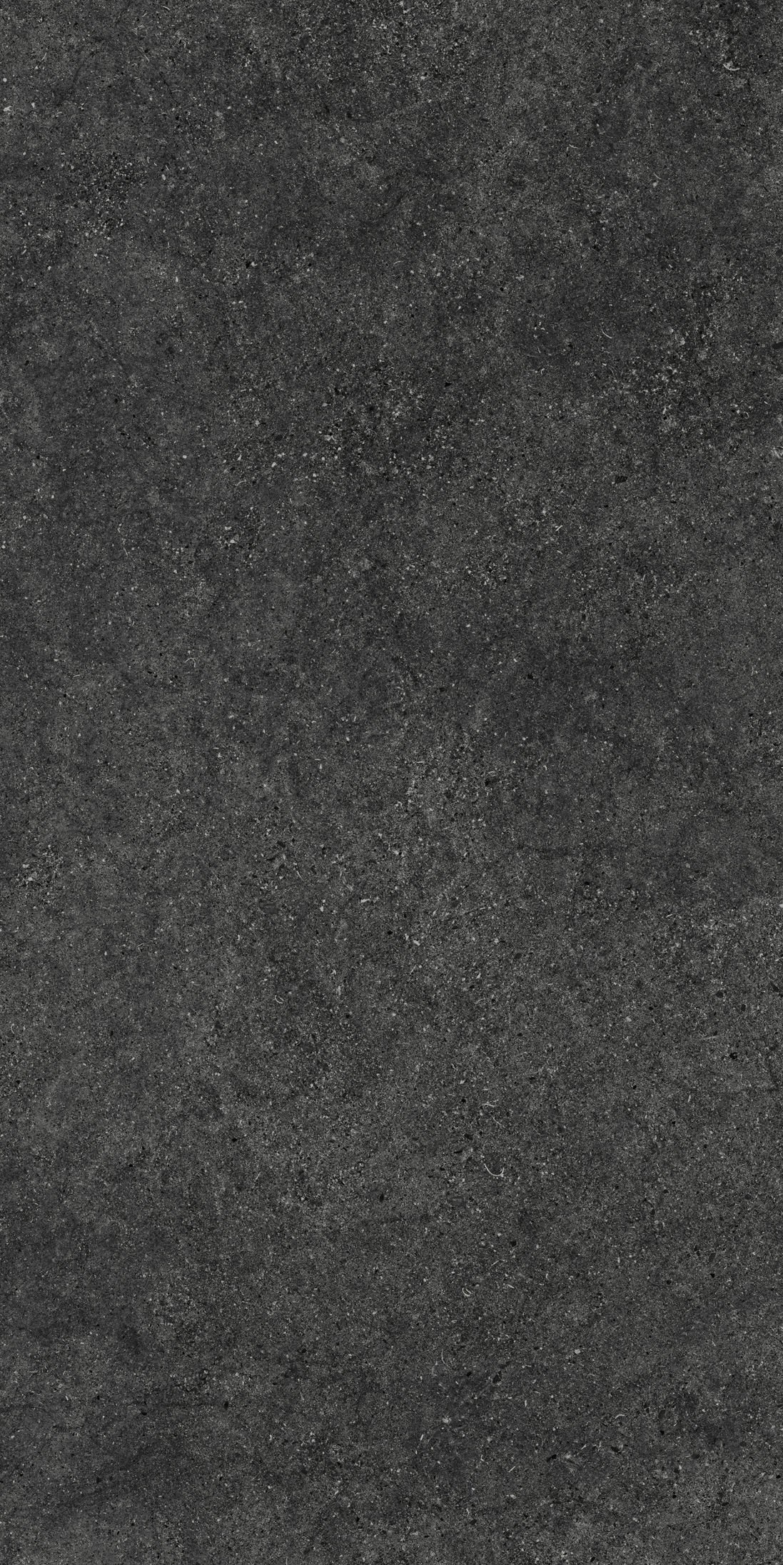 NIRMALA CHARCOAL