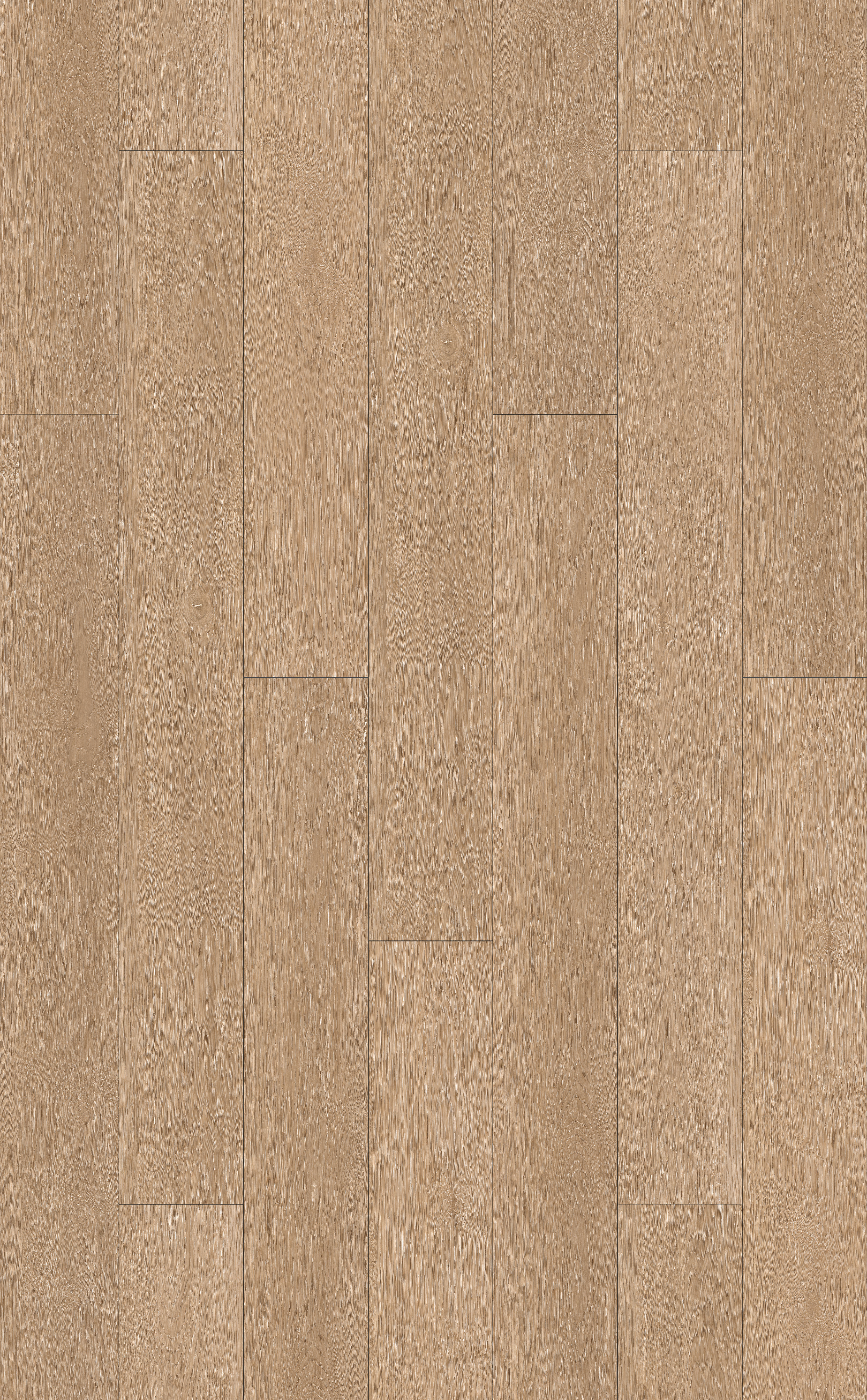 MOUNTAIN PINE