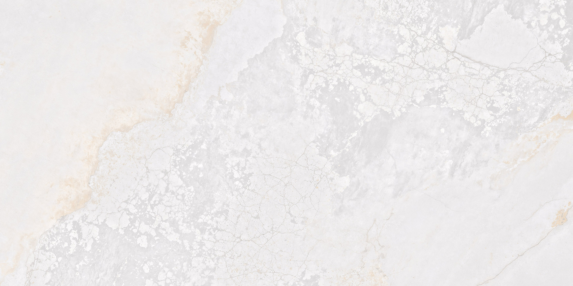 PLANET WHITE