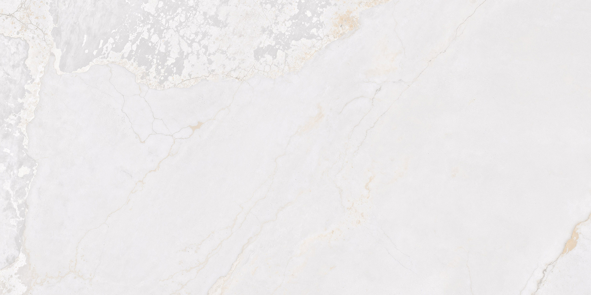 PLANET WHITE