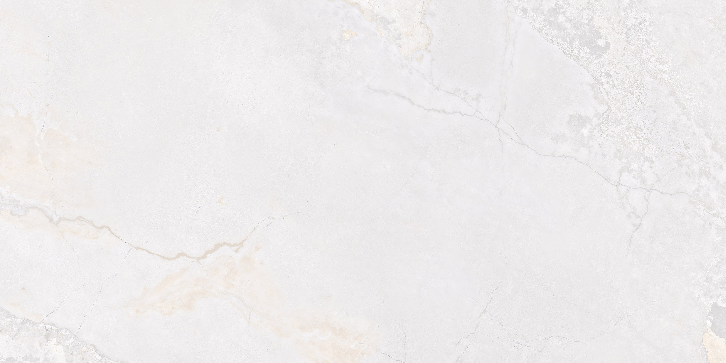 PLANET WHITE