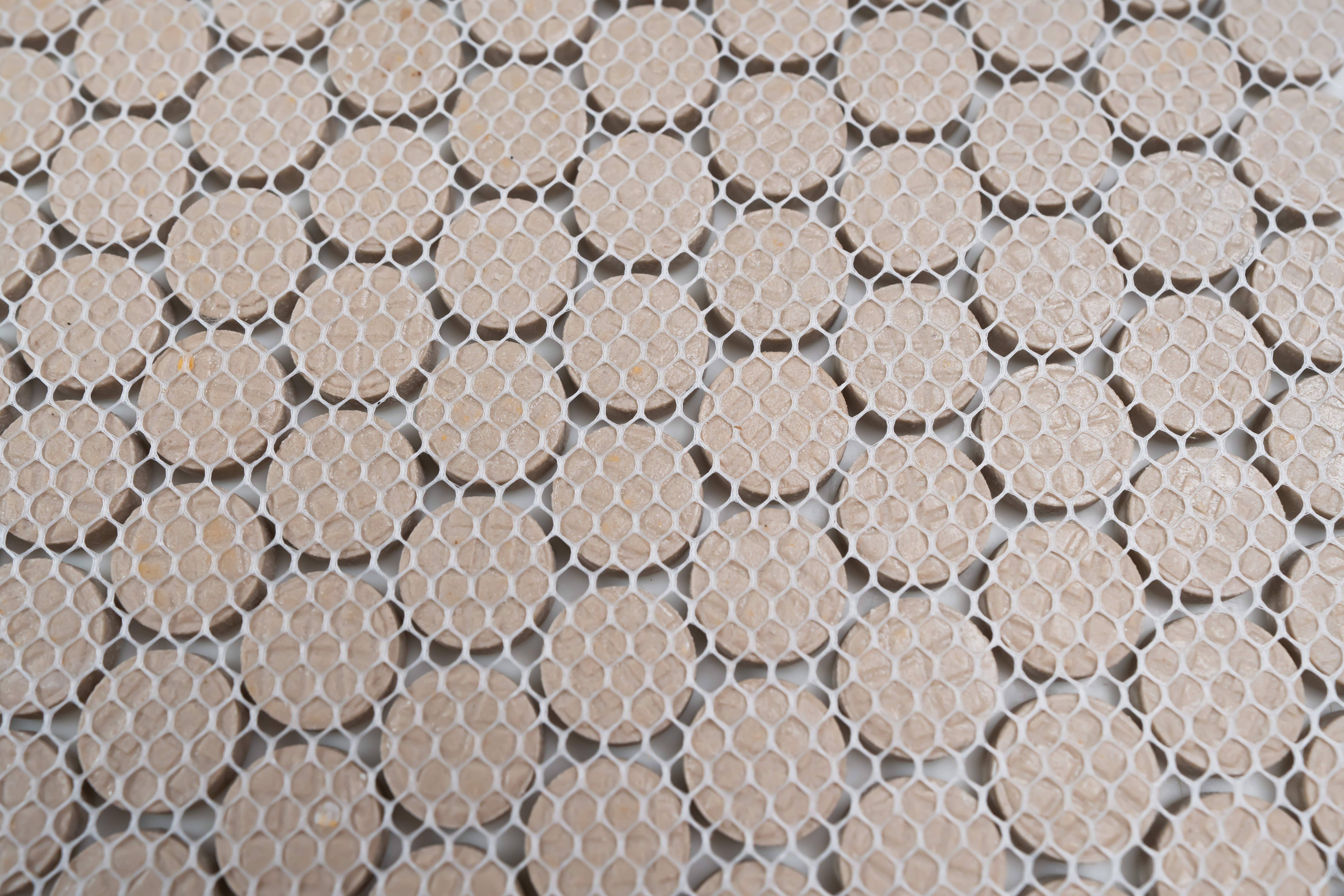 PORCELAIN MOSAICS PORCELAIN MOSAICS