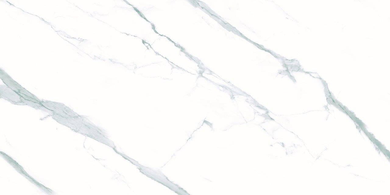 ELITE COLLECTION ELITE COLLECTION