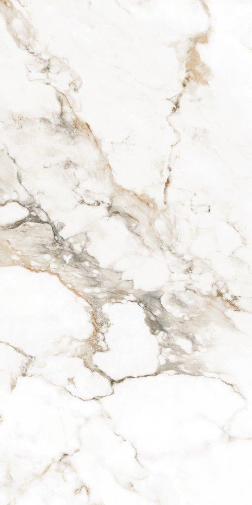 ELITE COLLECTION ELITE COLLECTION