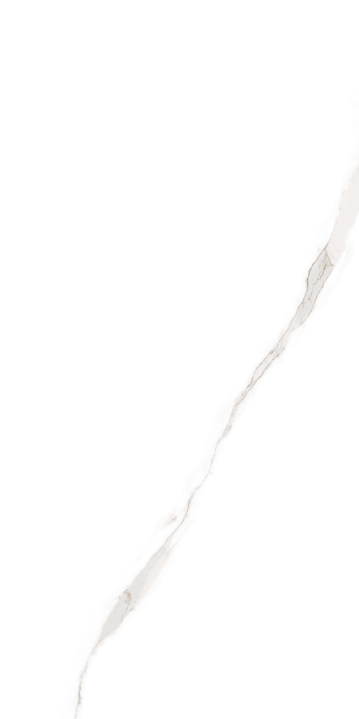 ELITE COLLECTION ELITE COLLECTION