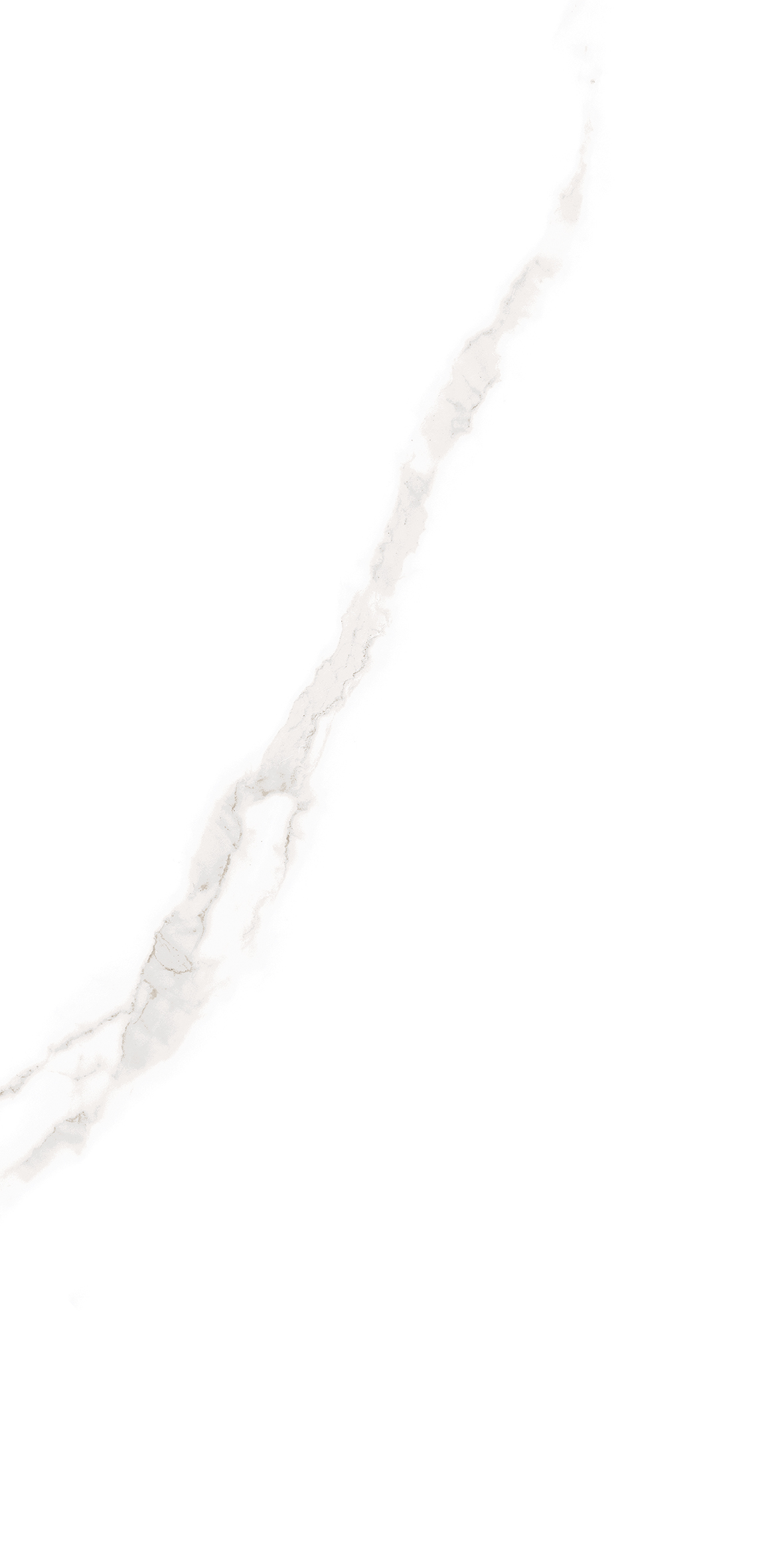 ELITE COLLECTION ELITE COLLECTION