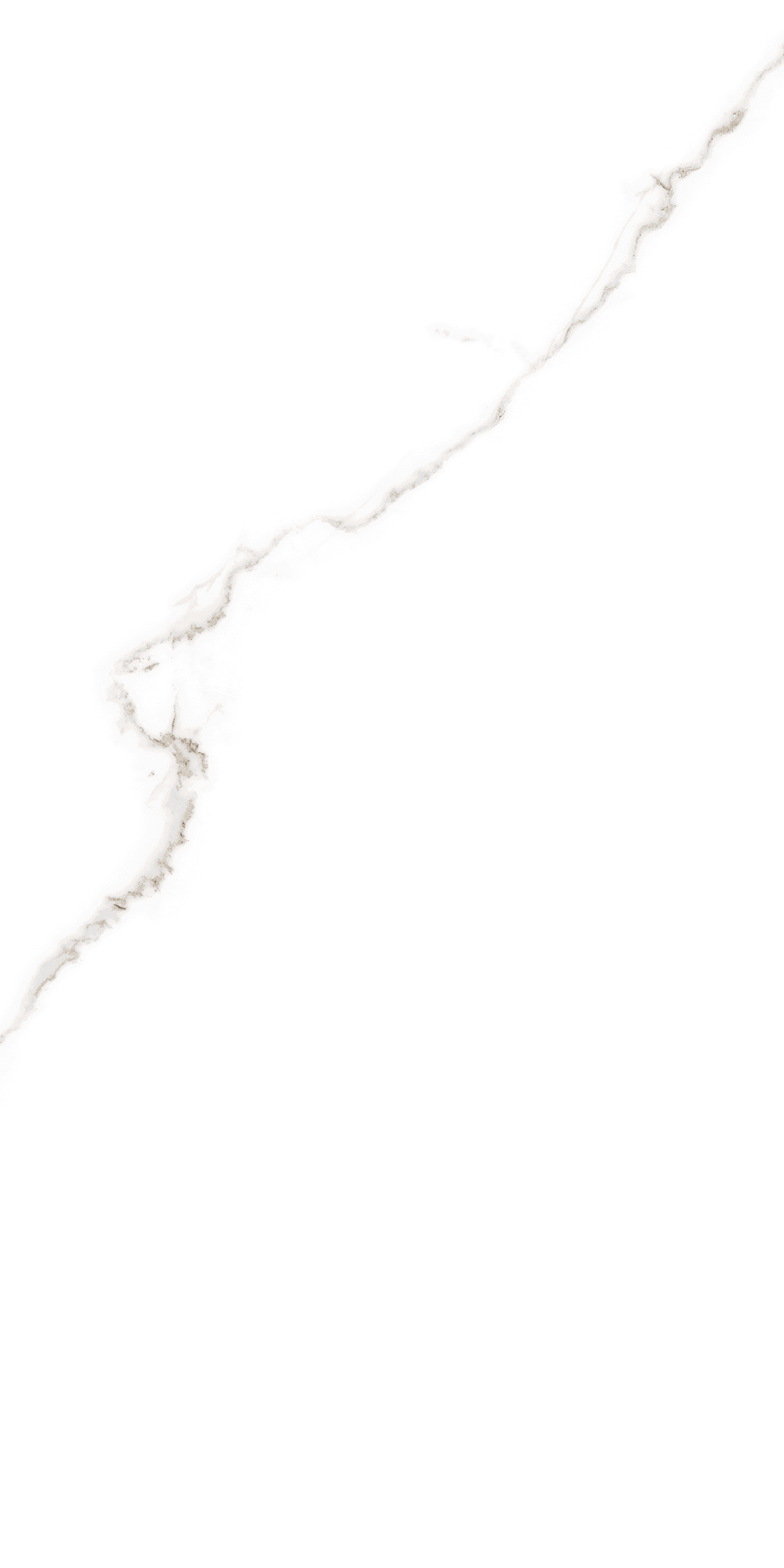 ELITE COLLECTION ELITE COLLECTION