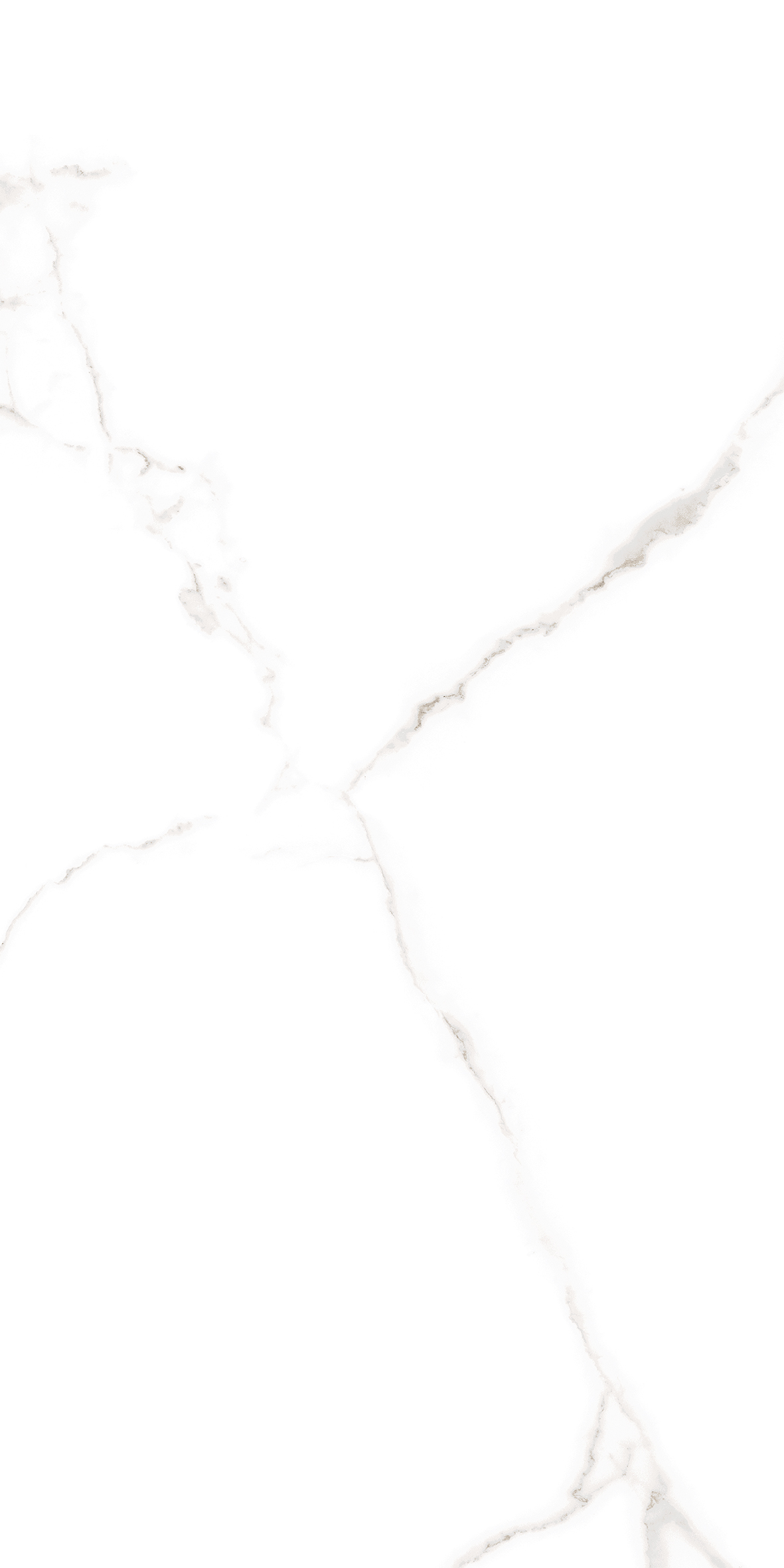 ELITE COLLECTION ELITE COLLECTION