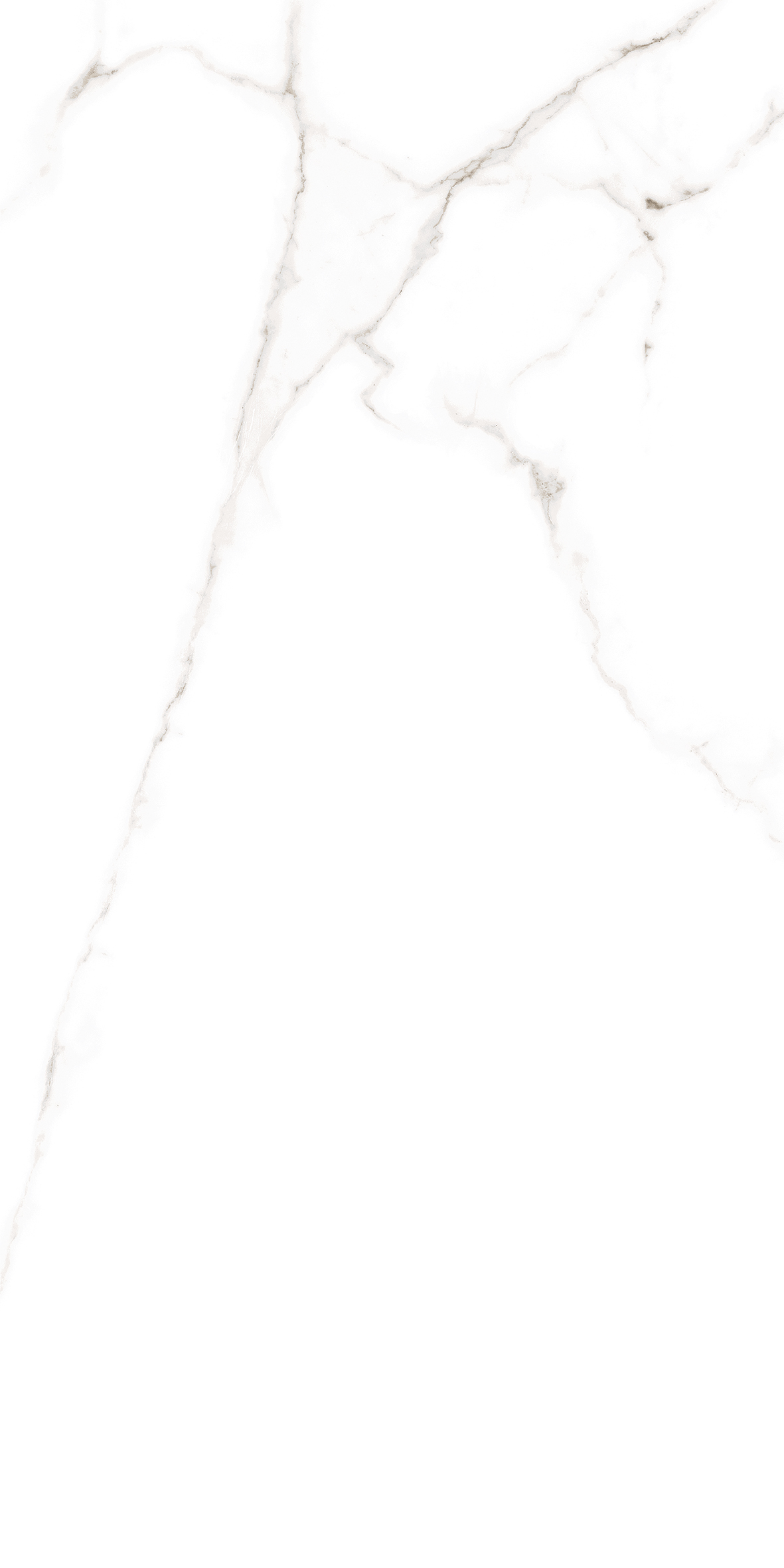 ELITE COLLECTION ELITE COLLECTION