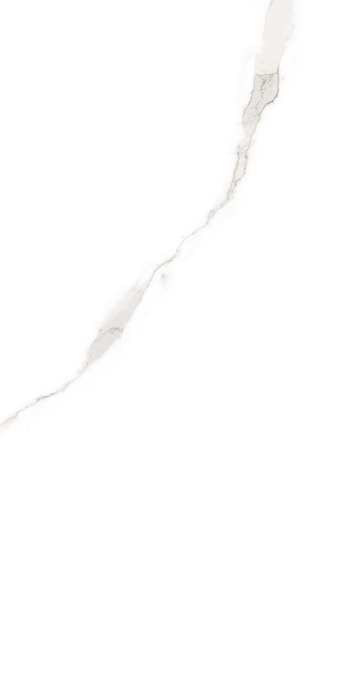 ELITE COLLECTION ELITE COLLECTION