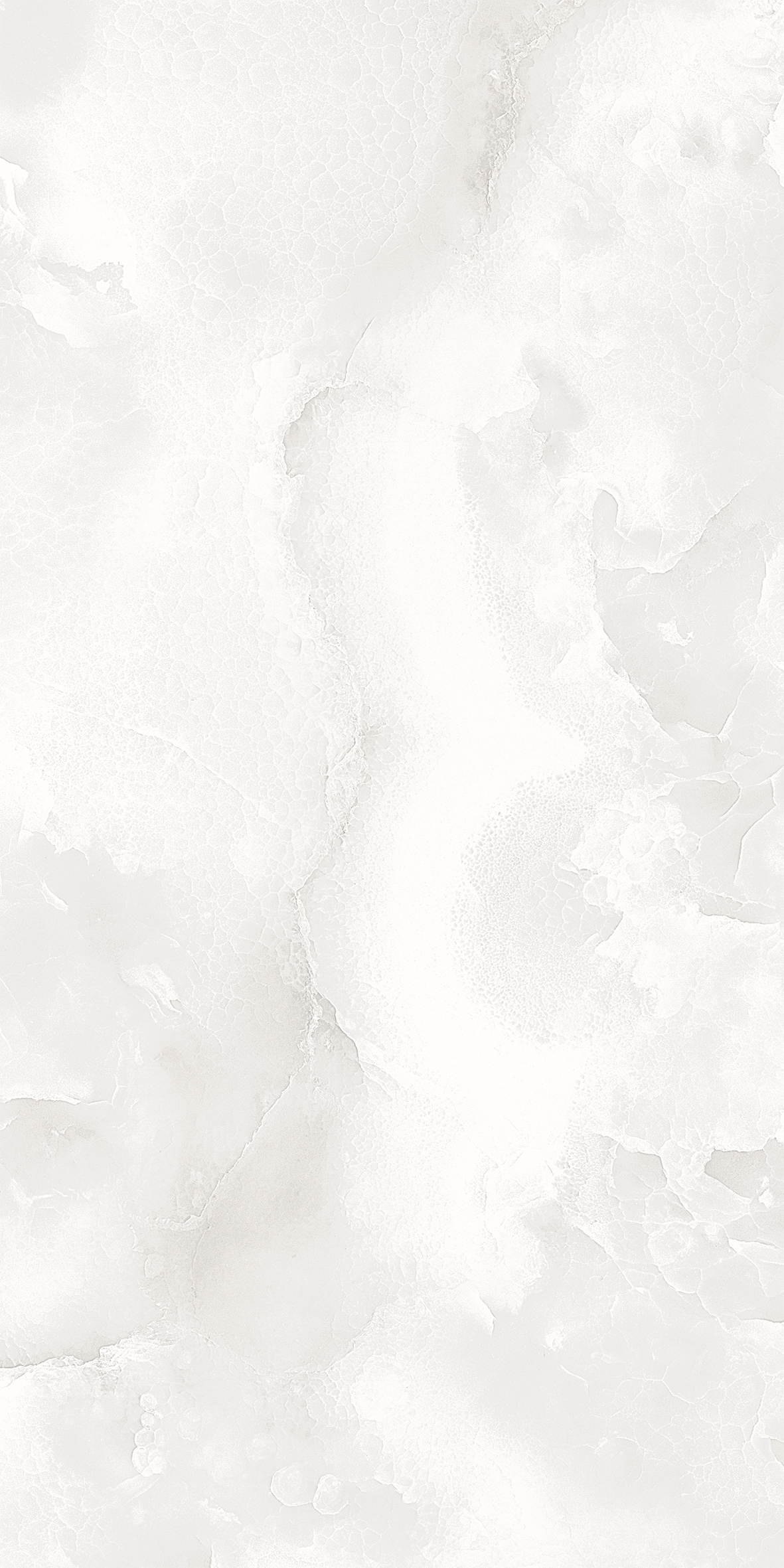 ELITE COLLECTION ELITE COLLECTION